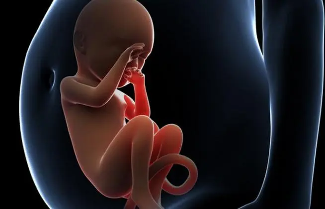 人工受孕对人体的好处