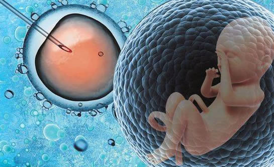 人工受孕和试管婴儿有什么区别