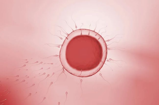 捐卵会导致卵巢衰竭，造成提早更年期吗？